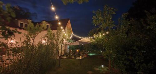 Ciolpani House | Forest Inn