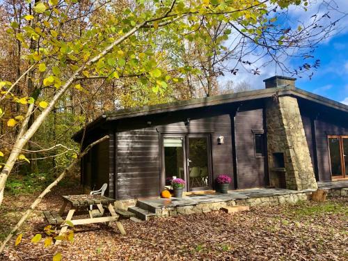 Grandham Ski Chalet | Forest Lodge