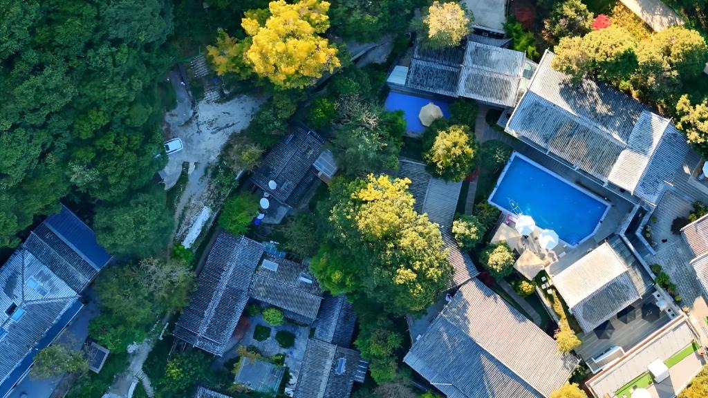 Shuhe Old Town Hotel | Forest Muse Art Manor-Tea Horse Road, Shuhe Ancient Town Hillside