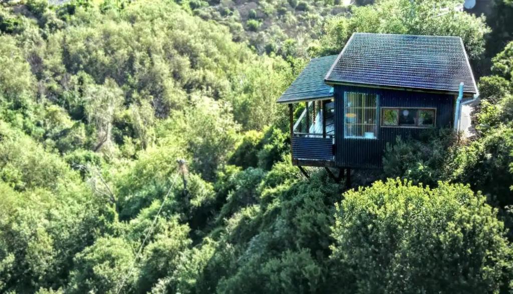 Knysna Heights Apartment | Forest Studio
