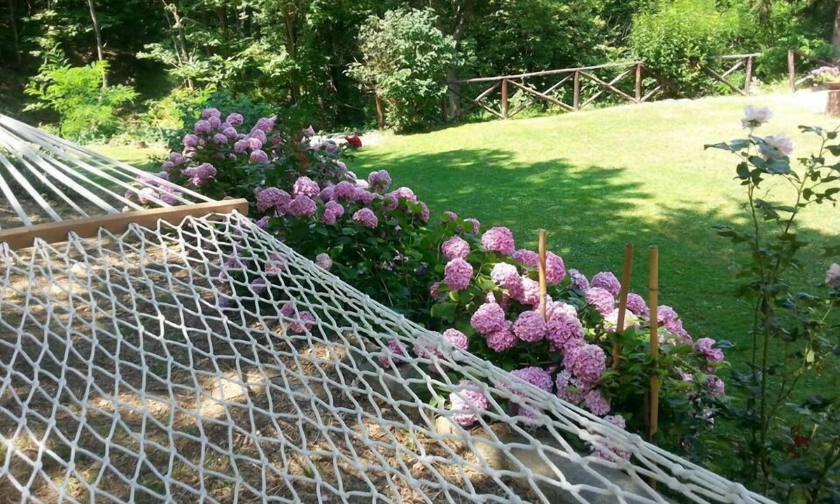 Gavi Bed & Breakfast | Forest View B&B