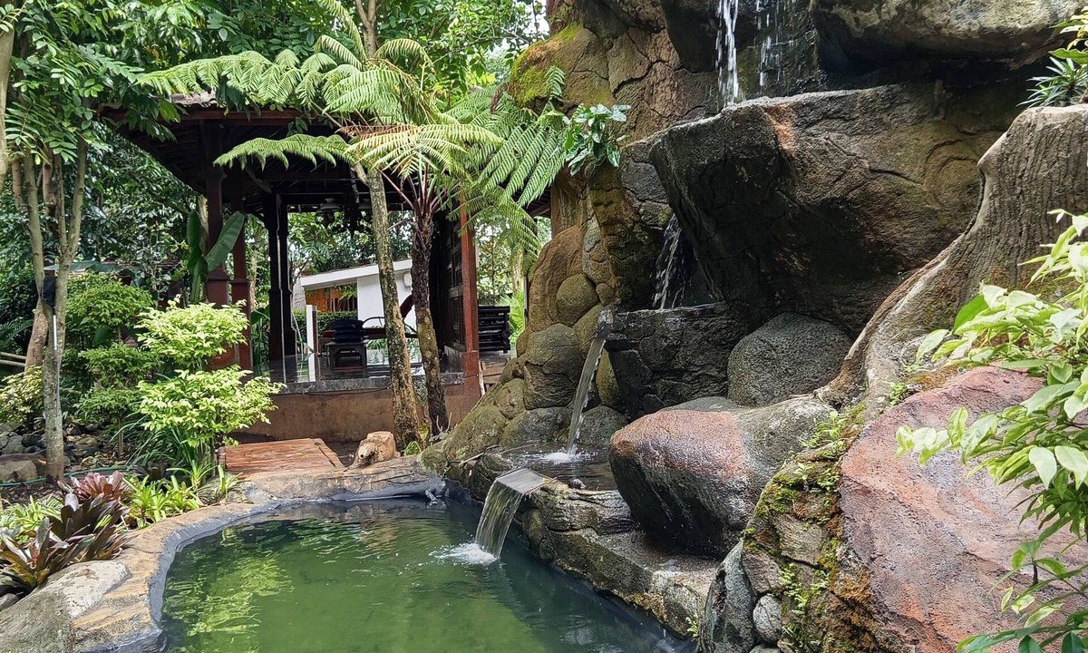 Dinoyo House | Forrest Lodge, Cafe & Wisata Berkuda