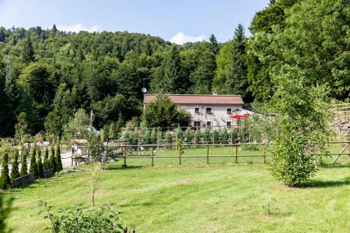 Conco Other | FORTE GALGI