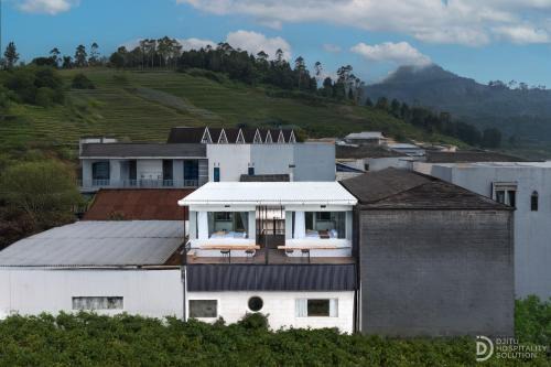 Dieng House | Fortune Cube