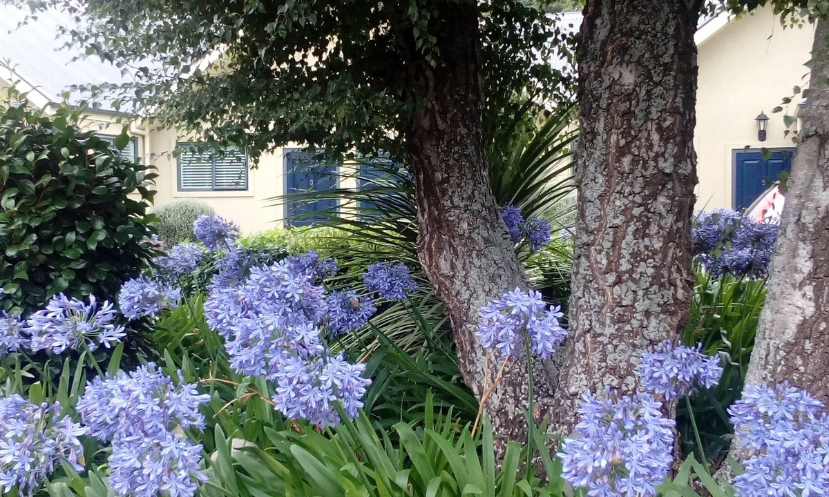 Geraldine Hotel | Four Peaks Motel
