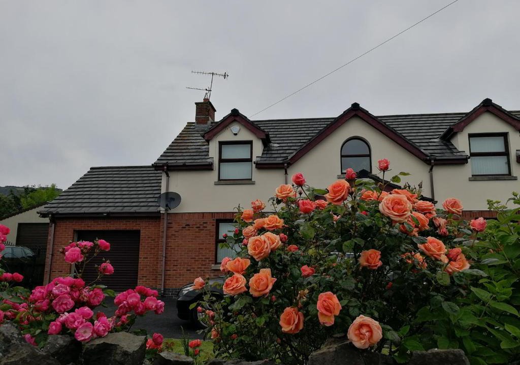 Carrickfergus Bed & Breakfast | Fox Heaven B&B