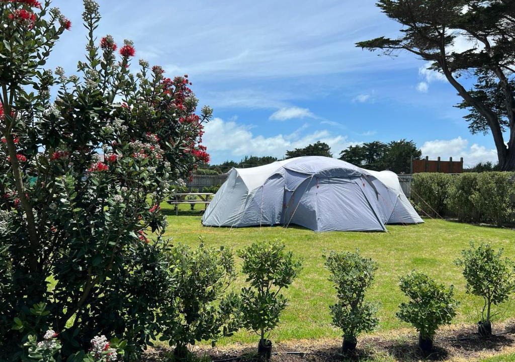 Foxton Beach Other | Foxton Beach Holiday Park - Camping