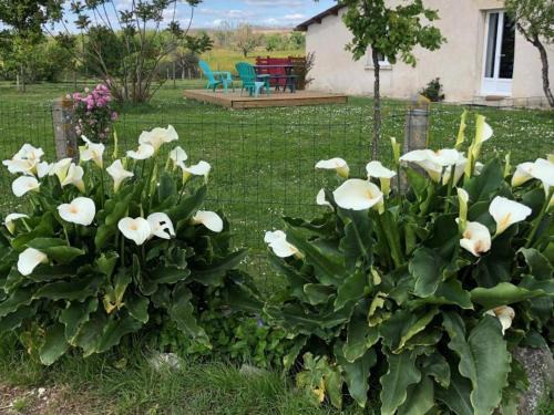 Puymangou House | Gîte spacieux avec jardin privé, proche Dordogne et Charente, idéal pour 2 personnes et animaux acceptés - FR-1-616-358