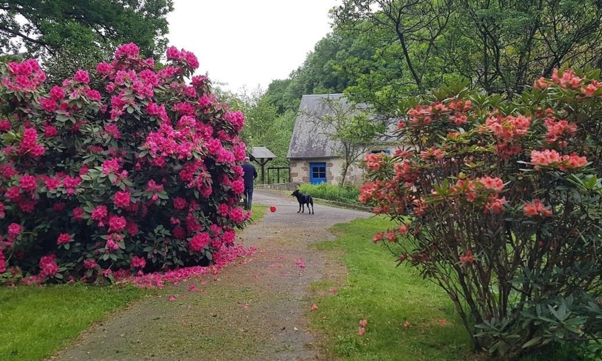 Villedieu-les-Poeles House | LE MOULIN D'AIROU