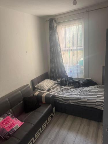 Grove Green Apartment | Francis rd