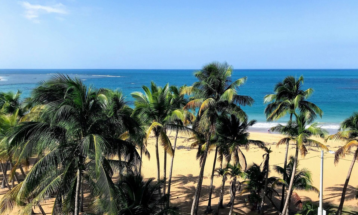 Vilomar Apartment | Front Beach apartment at Luquillo