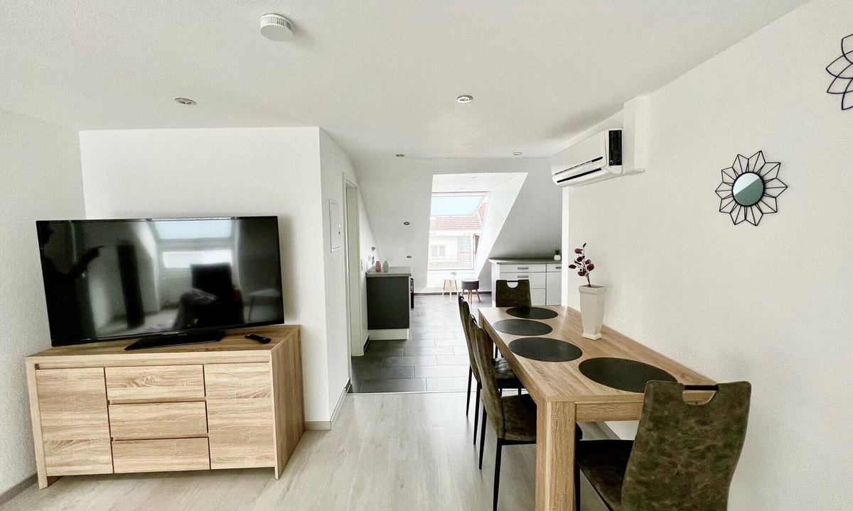 Rastatt Apartment | Full confort apartment air conditioning Bicycles free