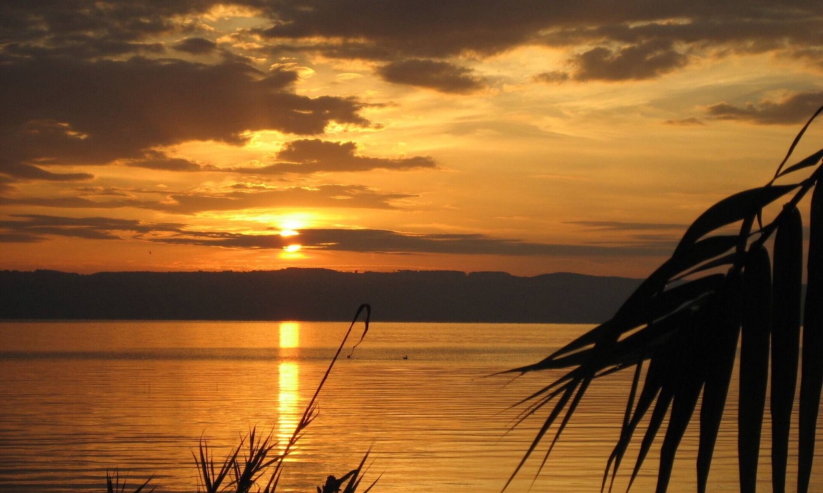 Gradoli House | Fully equipped holiday cottage in front of the Lake, surrounded by olive trees