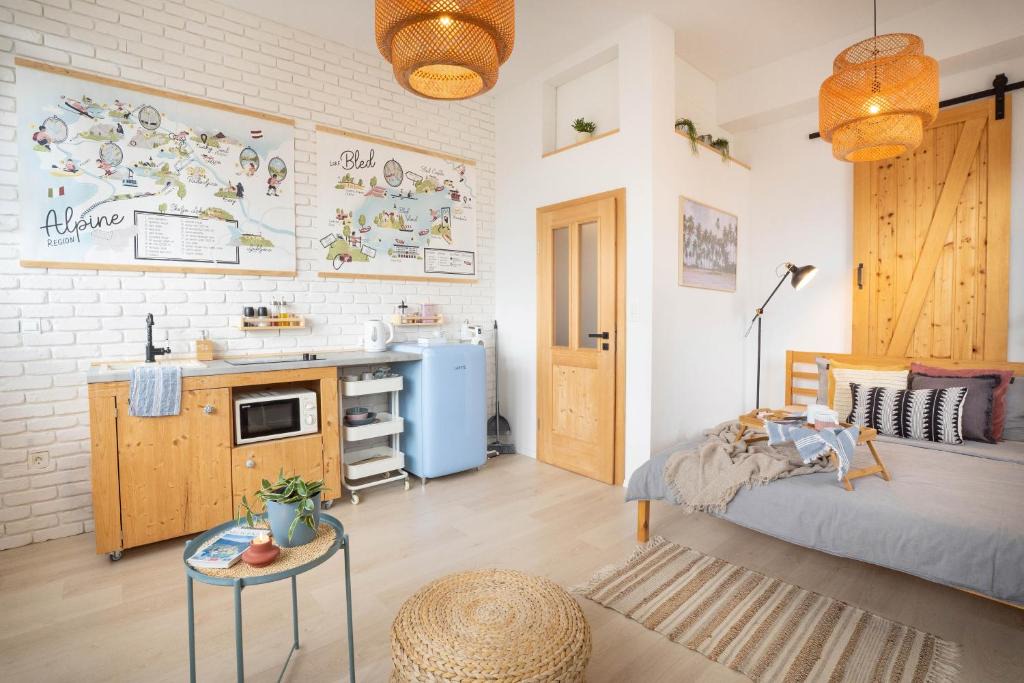 Zirovnica Apartment | Funky soul studio