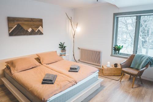 Bostad Hostel | FURU Hostel & Café