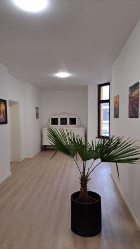 Greiz Apartment | FW Heyerhaus