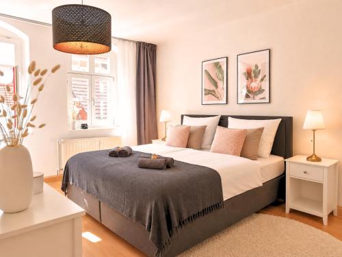 Meissen Apartment | Fynbos Apartments in der Altstadt, Frauenkirche, historisch, Parkplatz