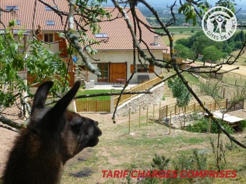 Saint-Andre-dʼApchon Apartment | Gîte chaleureux avec spa et sauna, animaux admis - FR-1-496-23