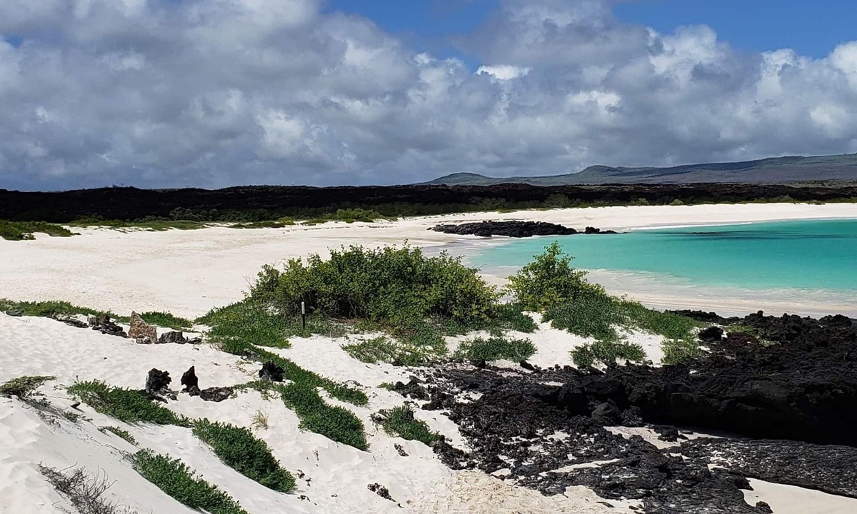 Puerto Baquerizo Moreno Bed & Breakfast | Galapagos Eco Friendly