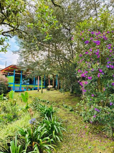 Medellin House | Galilea