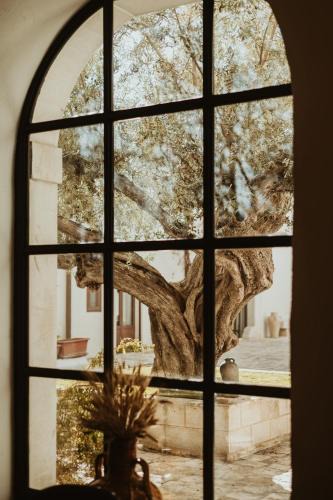 Orta Nova Bed & Breakfast | GAPO Rooms
