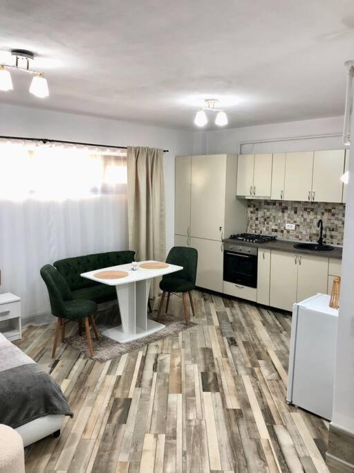 Ramnicu Valcea Apartment | Garsonieră- Bulevard Dem Rădulescu