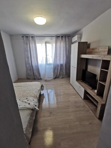 Arad Apartment | GARSONIERĂ