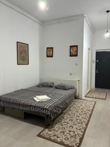 Bistrita Hotel | Garsoniera Alex