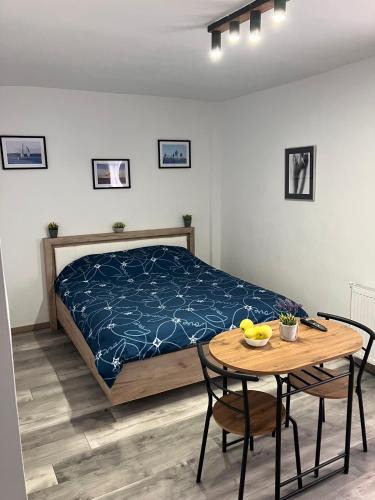 Arad Apartment | Garsoniera Goldis