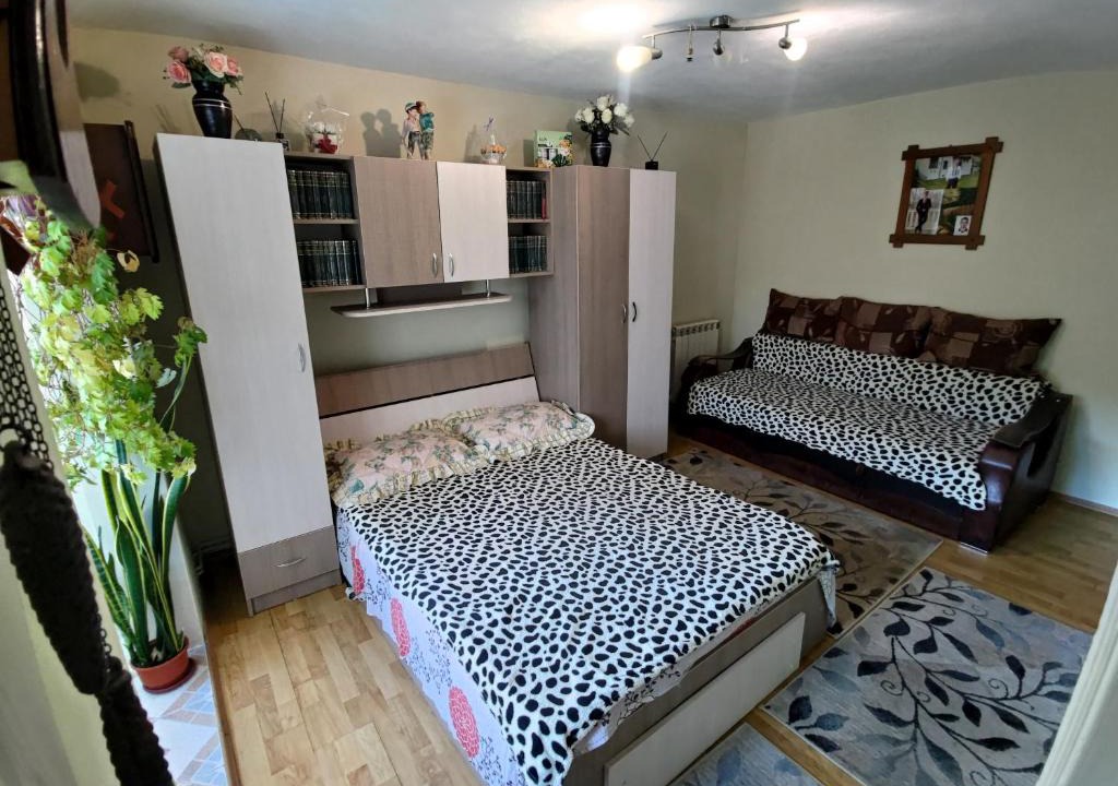 Prajila Apartment | Garsoniera Irene