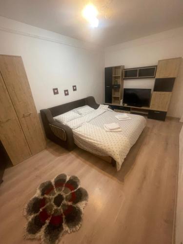 Bacau Apartment | Garsoniera
