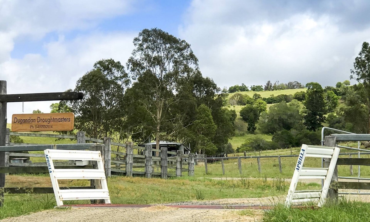 Dugandan House | Gatekeepers' cabin