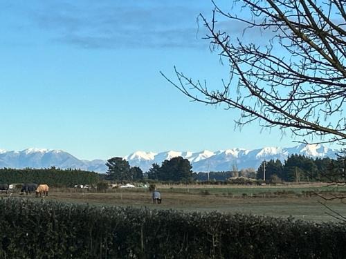 West Melton Bed & Breakfast | Gem bed and breakfast