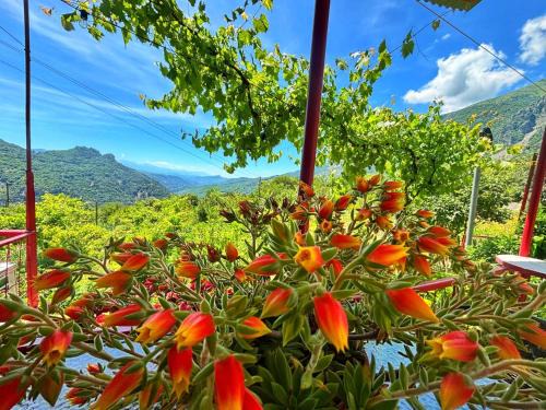 North Tzoumerka House | Georgaras Accommodation