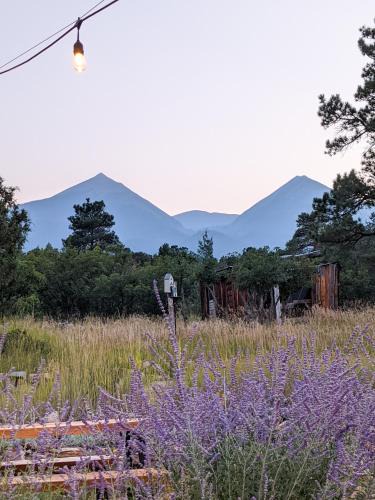 Howard House | Get Away From it All at Whiskey Rapids ✷ Dog Friendly!