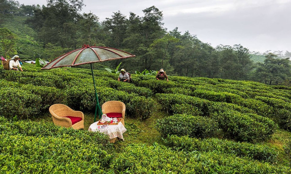 Ging Tea Garden Hotel | Ging Tea House