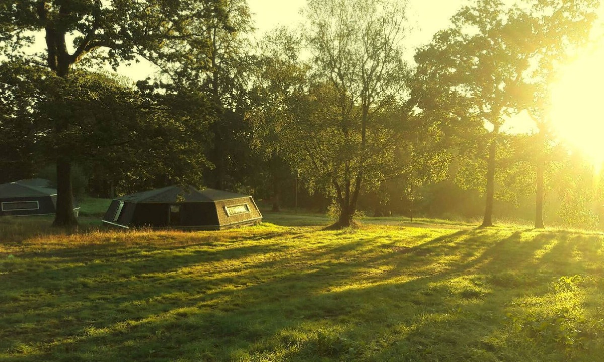 Saint-Sever-Calvados Hotel | GITE D'OBSERVATION (4/6 pers) - Stopover in the forest