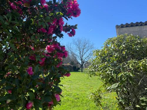 Lanouaille House | Gite du cerisier