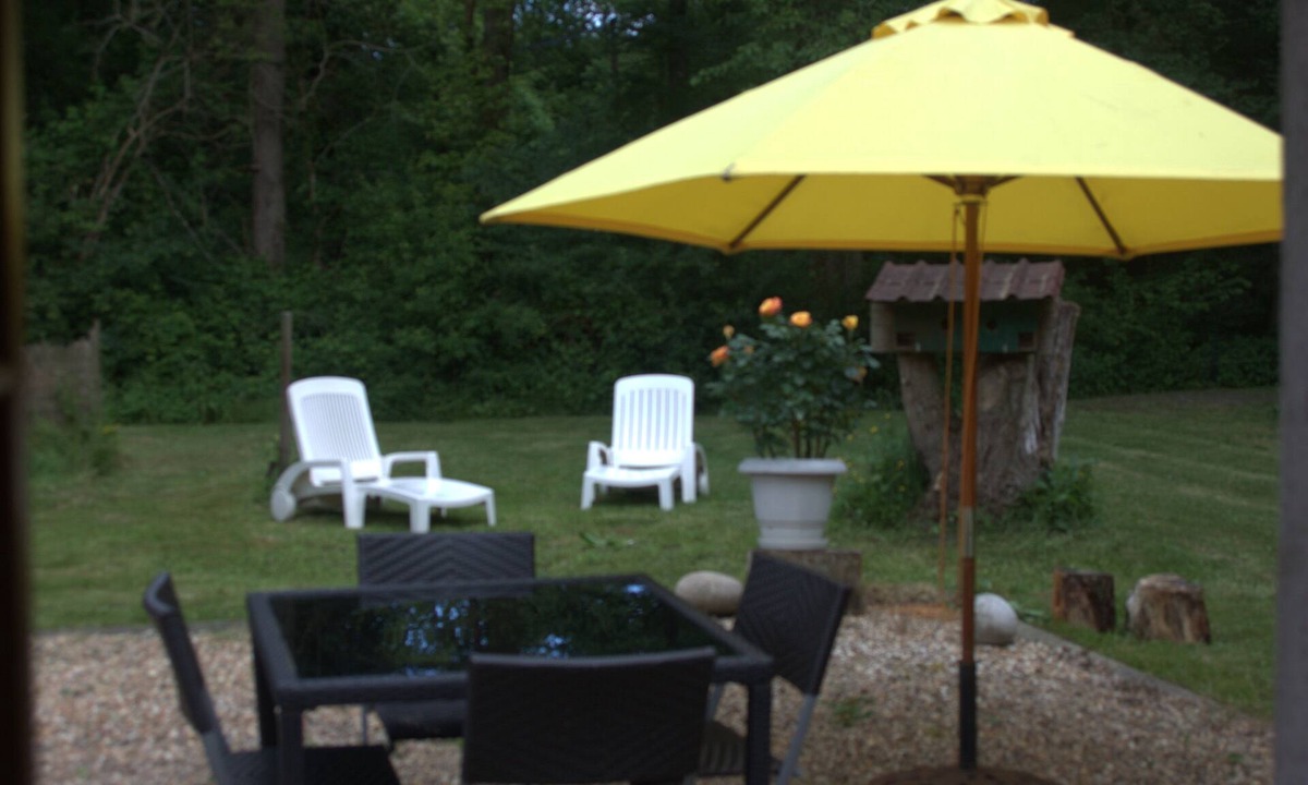 Amboise House | GITE WITH SWIMMING POOL in the heart of the Amboise forest, 5 minutes from Chenonceaux
