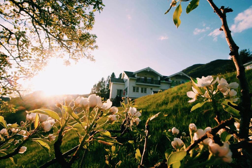 Rauma kommune House | Gjerdset Turistsenter