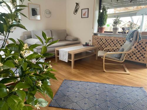 Wolfegg Apartment | Glücksmomente