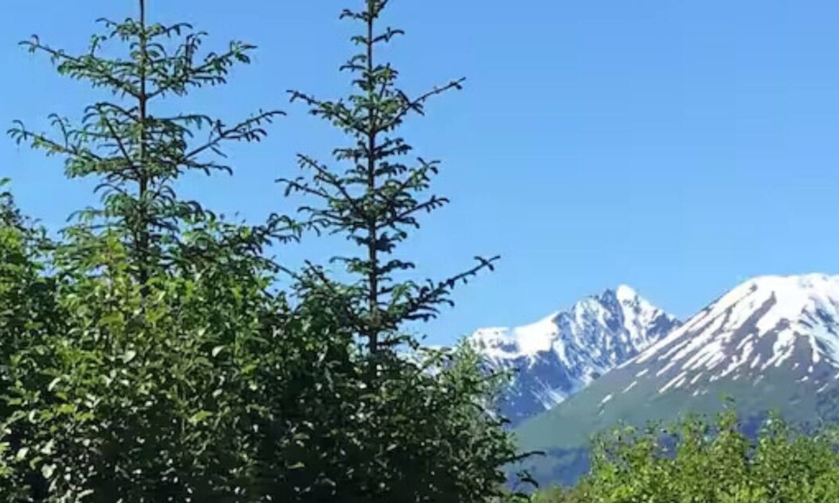 Bear Creek Apartment | Glacier Creek - Tiny Home
