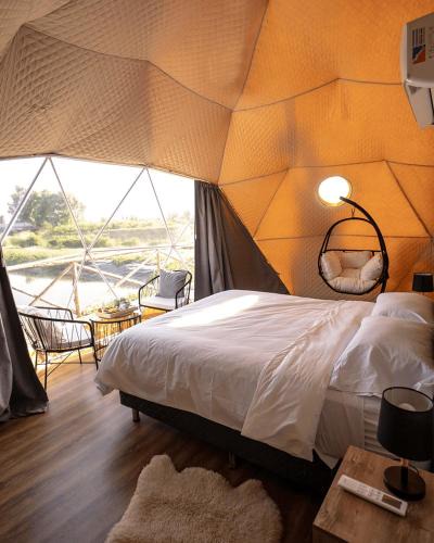 Rama Caida Other | glamping en el viñedo