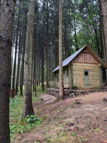 Radic Other | Glamping Olivia v lese