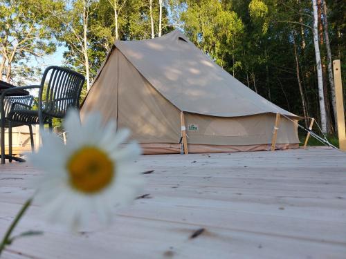 Soderbarke Other | Glamping Tolvsbo Inn