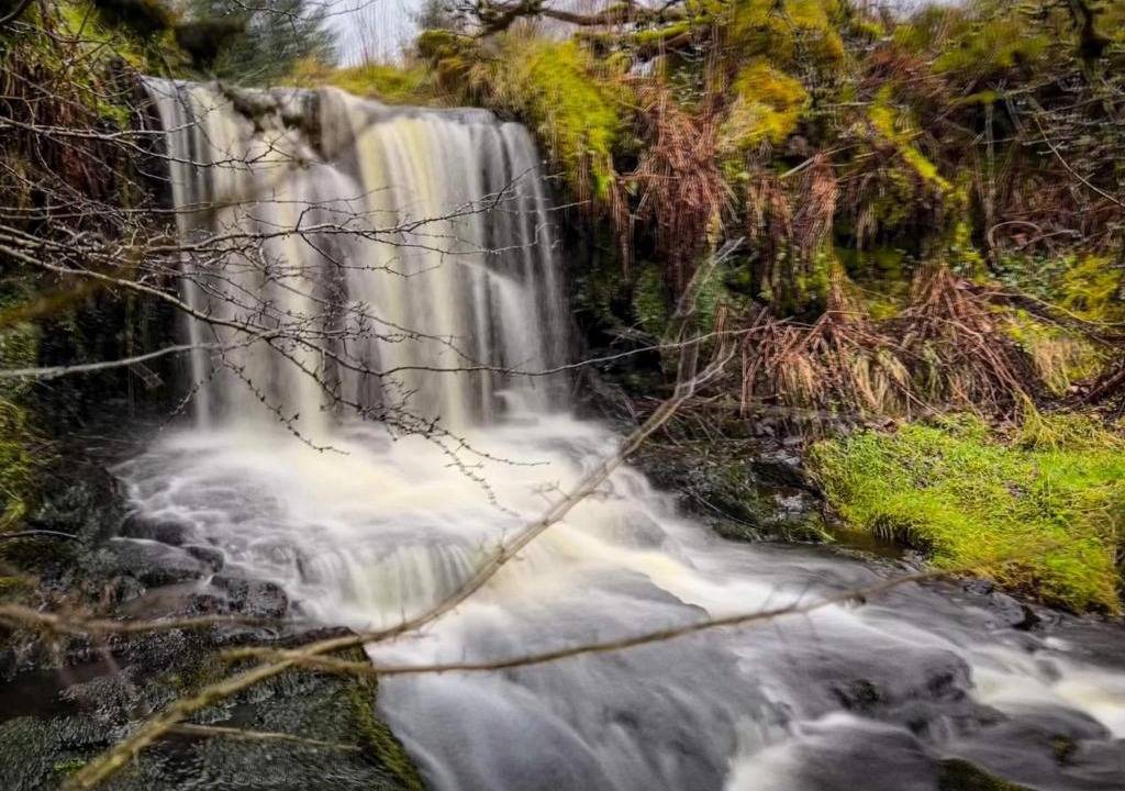 Glenariff Ski Chalet | Glenariff Forest Getaway