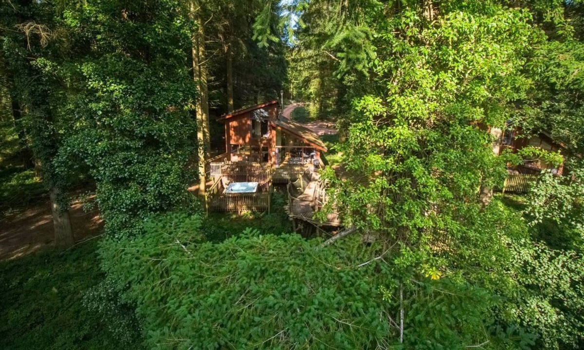 Peebles Cabin | Glentress Forest Golden Oak Treehouse, Peebles