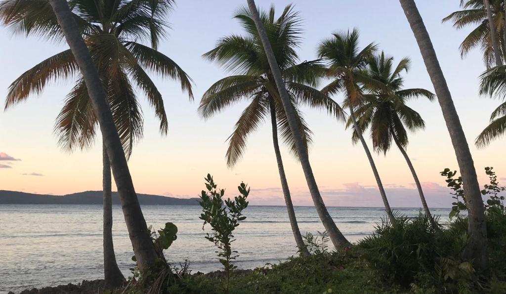 Dominicus Apartment | Go Las Galeras