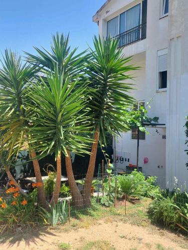 Babin do Apartment | Goran