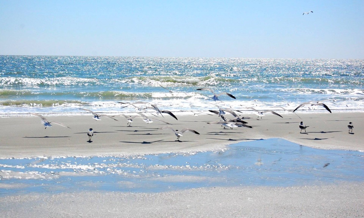 Myrtle Beach Condo | Gorgeous condo with a pool view less than one block from the ocean -